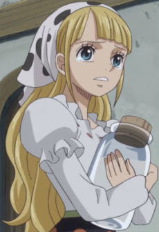 Moda — ONE PIECE karakteri