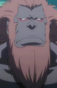 Houzukimaru — BLEACH karakteri